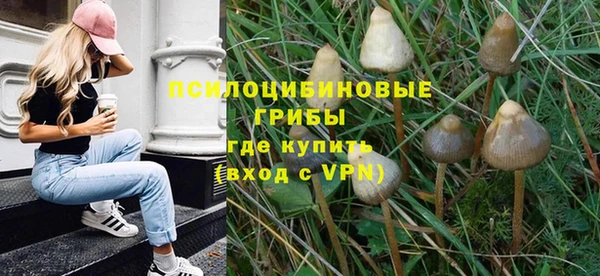 шишки Аша