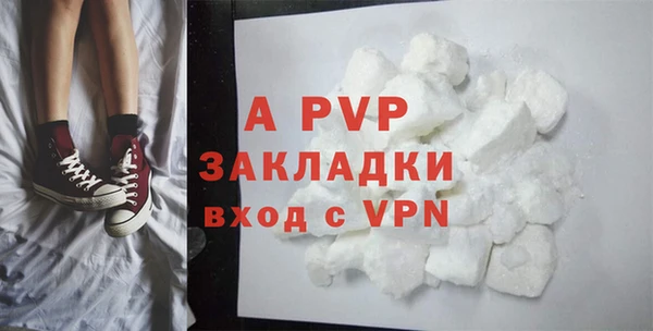 шишки Аша