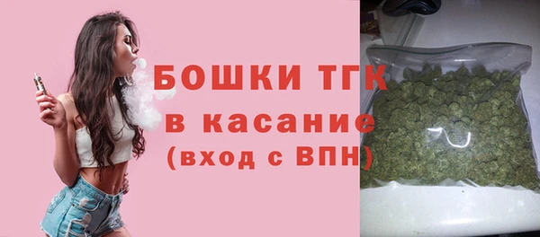 шишки Аша