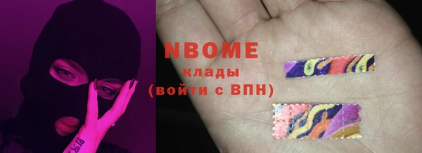 шишки Аша