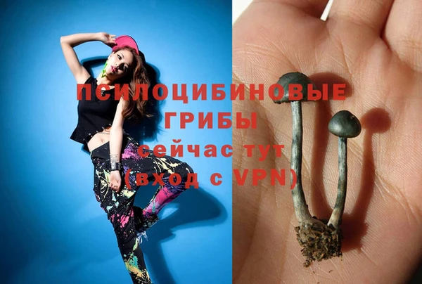мяу мяу мука Анива