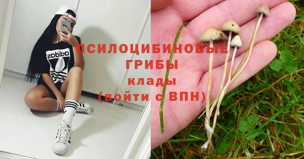мяу мяу мука Анива