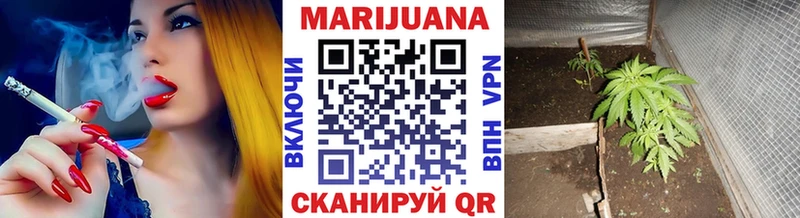 Бошки Шишки Amnesia  наркошоп  Инта 
